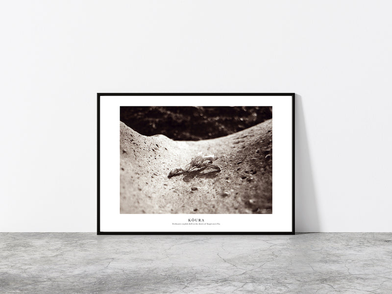 Koura Print